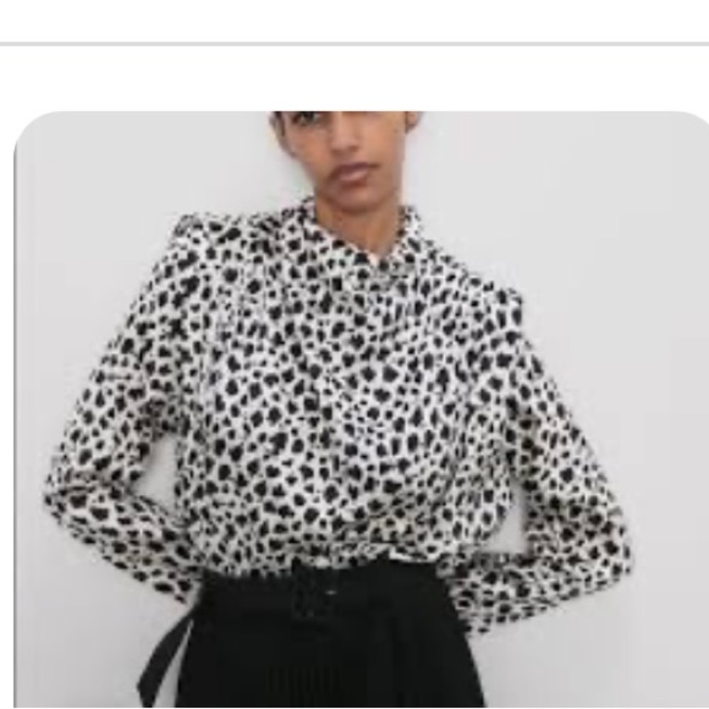 Zara Pleated Printed Blouse